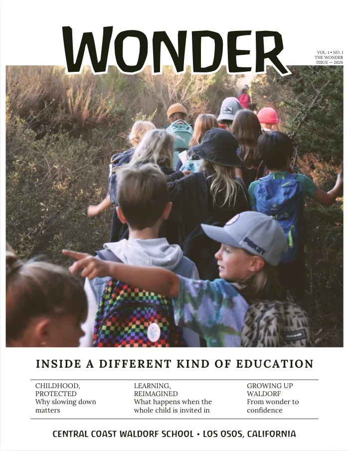 Wonder Vol. 1